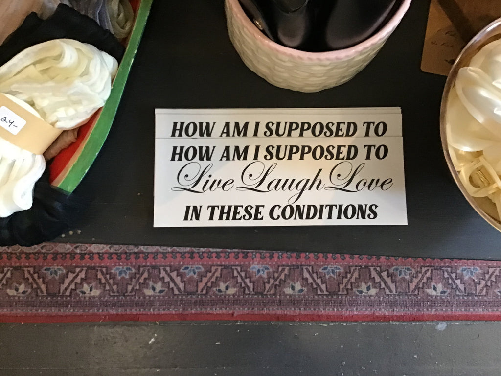 How Am I Supposed to Live Laugh Love in these Conditions Magnet
